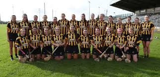 Image result for Rostrevor Hurling Club