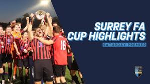 Image result for Woodmansterne Sports Fc