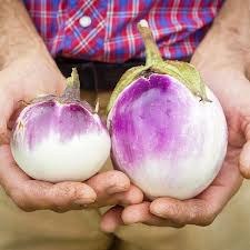 Afbeeldingsresultaat voor bianca a uovo eggplant