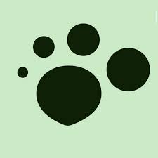 Image result for root-tail