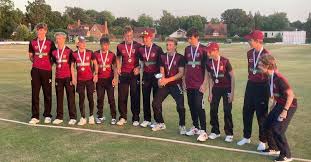 Image result for South Wilts Cricket Club