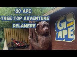 Image result for The Go Ape Experience (Delamere Forest)