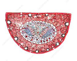 Attēlu rezultāti vaicājumam “Pinus sylvestris leaf”