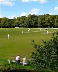 Image result for Tendring Cricket Club
