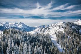 Image result for Brighton University Ski & Snowboard Club