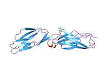 Intercellular adhesion molecule - Wikipedia, the free encyclopedia