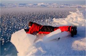 Attēlu rezultāti vaicājumam “Frost Flowers”