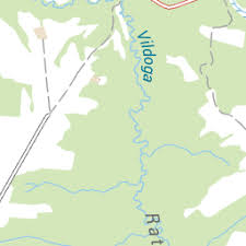 Attēlu rezultāti vaicājumam “Lycogala cf. fossiculatum”