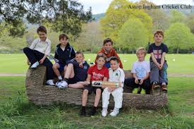 Image result for Aston Ingham Cricket Club