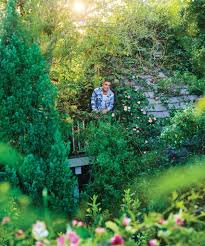 Image result for David LaChapelle