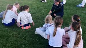 Image result for Cowdrey CC