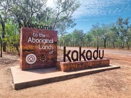 Billedresultat for kakadu n...