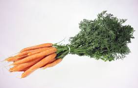 Image result for Möhren