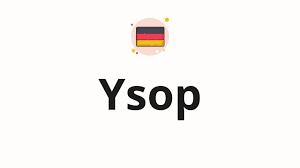 Image result for Ysop