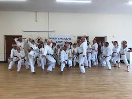 Image result for Haxby karate club