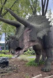 Image result for Clyde Valley Predators