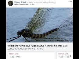 Attēlu rezultāti vaicājumam “Siphlonurus male”