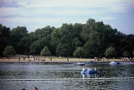 Image result for Serpentine Swimming Club