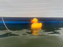 Image result for Maldon Canoe Club