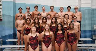 Image result for Perry Beeches Sutton Swim Squad
