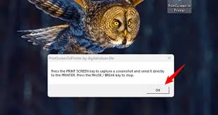 Image result for print screen