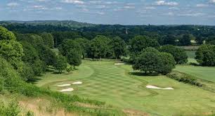 Image result for Dorking Golf Club