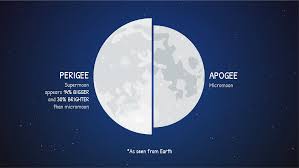 Image result for perigee