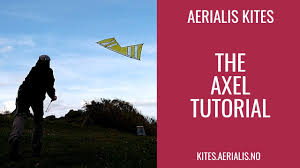Image result for Mobius Flix Trick & Freestyle Kite Club