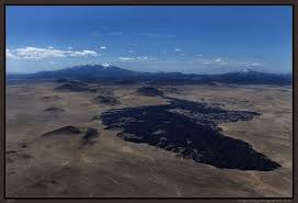 Attēlu rezultāti vaicājumam “Craterium sp.”