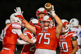 Image result for Milford Pumas Football Club