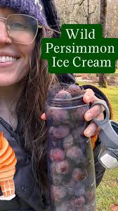 Attēlu rezultāti vaicājumam “Rumex aquaticus fruit”