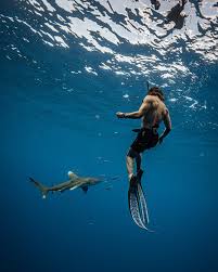 Image result for Deep and Wide Diving