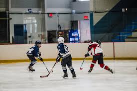 Image result for Basingstoke Demons Floorball Club