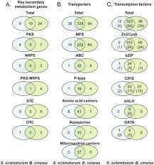 Attēlu rezultāti vaicājumam “Myriosclerotinia scirpicola”