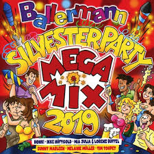 Image result for silvesterparty