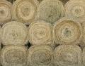 TDA - Hay Directories
