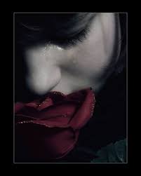 ���� ���� ������ �� ���� ������