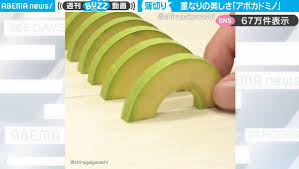 「アボカド大臣」の画像検索結果