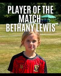 Image result for Croesyceiliog Cricket Club