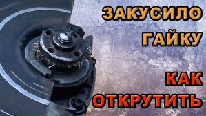 Картинки по запросу белку зажевало в диск