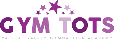 Image result for Gym Tots