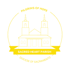 Image result for Pilgrims Sac