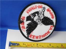 Image result for Kenshukai Karate