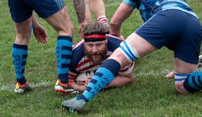 Image result for Wilmslow Rugby Union Football Club