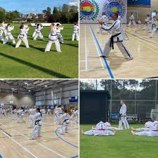 Image result for Thames Valley Karate
