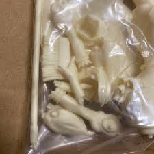 「チコ・サイエンス」の画像検索結果