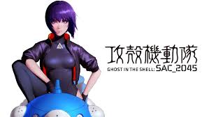 「サン・ゲンファ 攻殻機動隊 - GHOST IN THE SHELL -」の画像検索結果