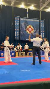 Image result for Kyoku Kenjutsu Kai