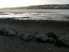 Low tide reveales mudflats in the Menai Strait, a haven for birds. - via Daymix