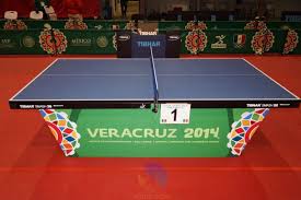 Image result for Reigate Roystons Table Tennis Club